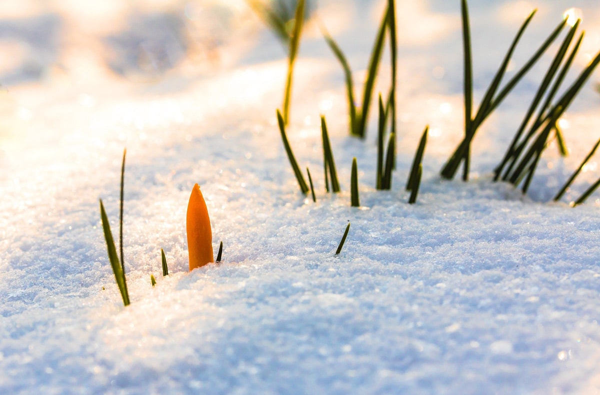 Jahreskreisfest Imbolc